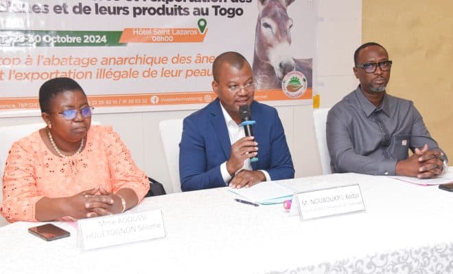 Togo Presse